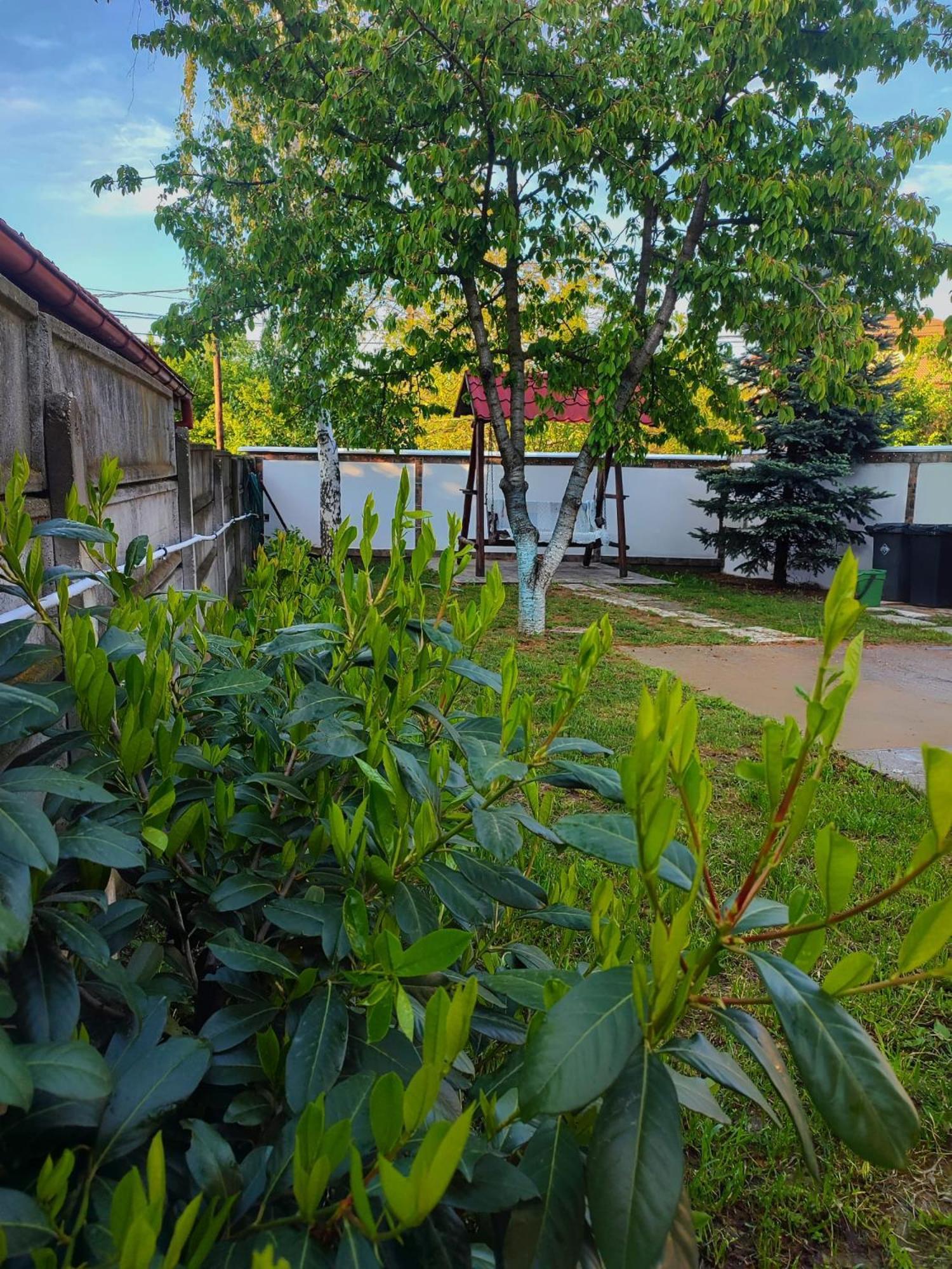 Courtyard Studio Oradea Luaran gambar